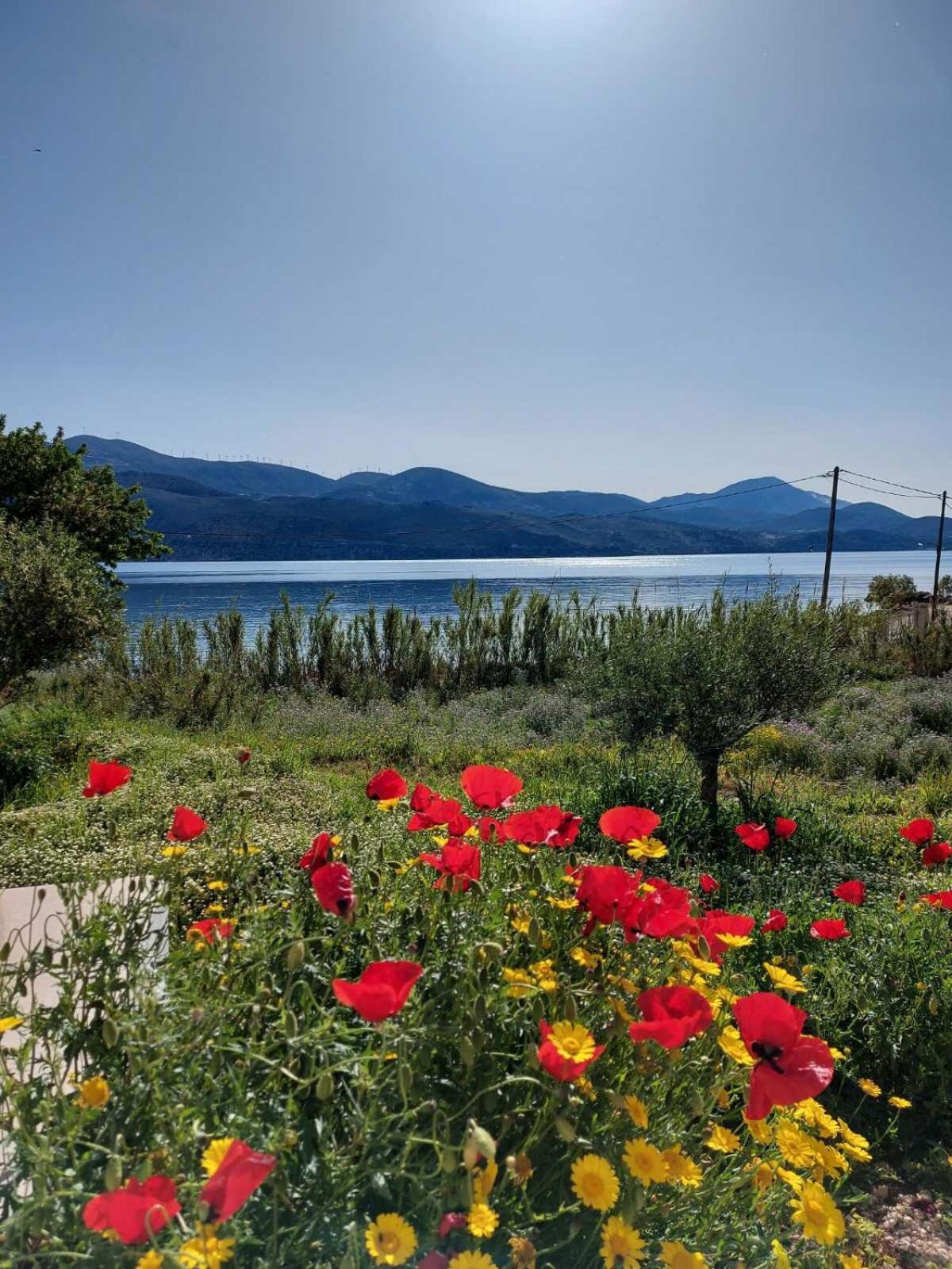 Apollonides Seafront Villa1 Aoede Lixouri Exterior photo